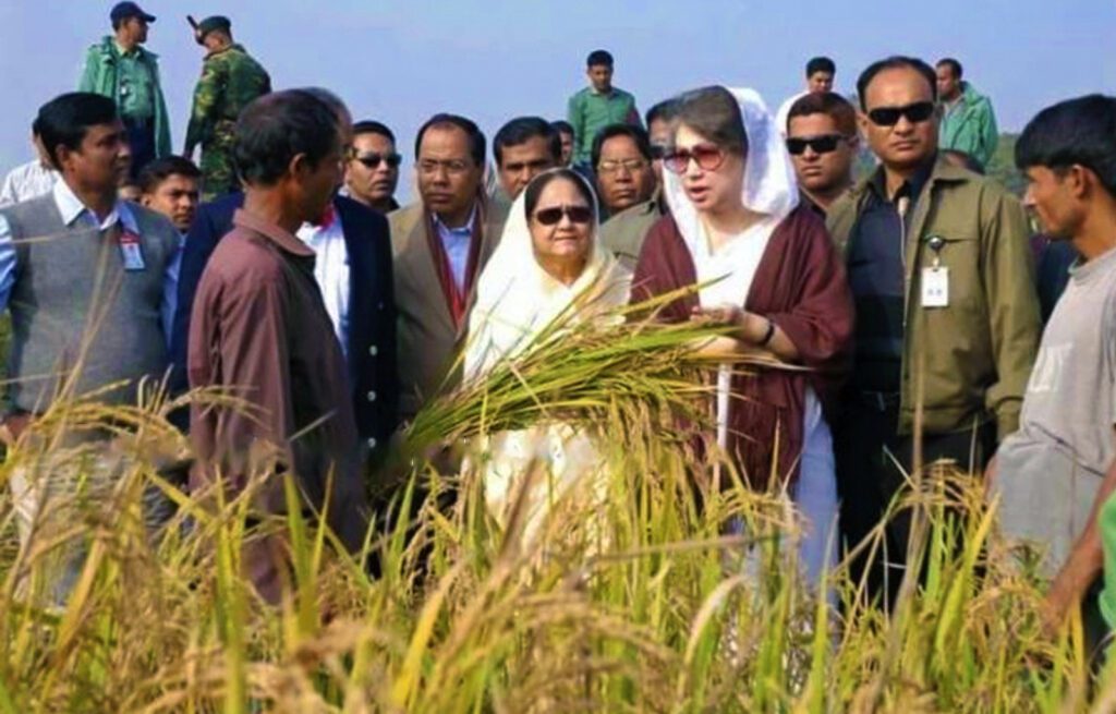 khaledazia 2008 khaledazia 2008